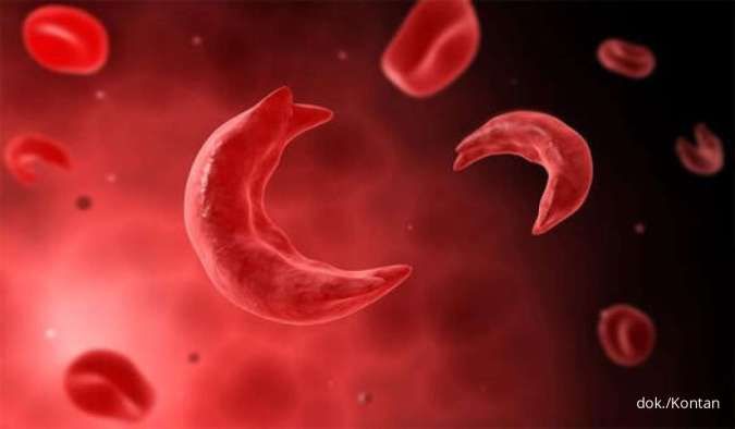 Tangkap Peluang dari Terapi Sel Punca Untuk Tangani Penyakit Kronis