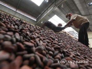 Harga merosot, lahan tanam kakao bakal berkurang 50% di 2016