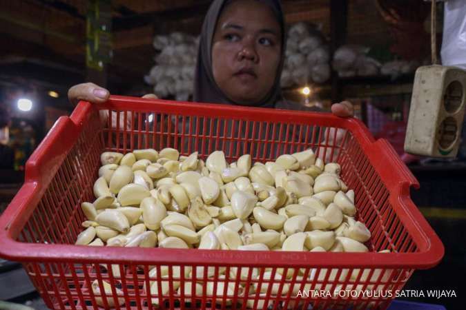 Harga Bawang Putih Melejit, Bapanas Siapkan Intervensi Panggil Importir & Distributor