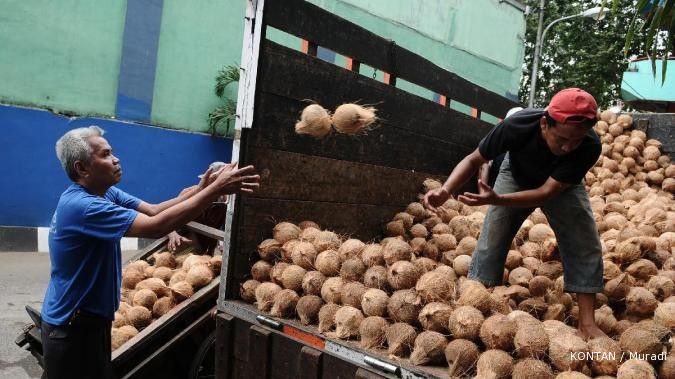 Tak dilirik, industri hilir kelapa tak berkembang