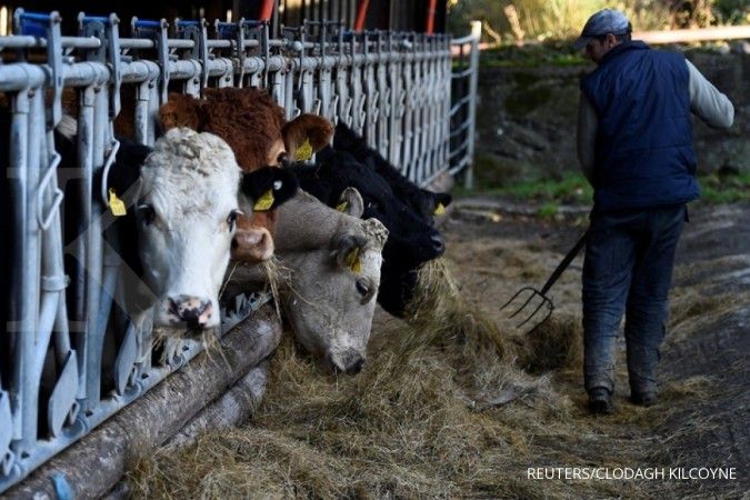 Jelang bulan puasa, Kemtan beri rekomendasi impor daging sapi 22.000 ton