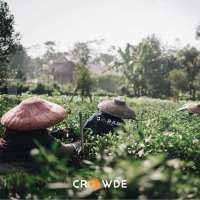 Kolaborasi Radhia Tani by CROWDE dan IAAS Indonesia Berdayakan Kelompok Wanita Tani