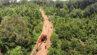 Masih Butuh Pembukaan Lahan, Kemenhut Tetap Jalankan Skema Net Zero Deforestation