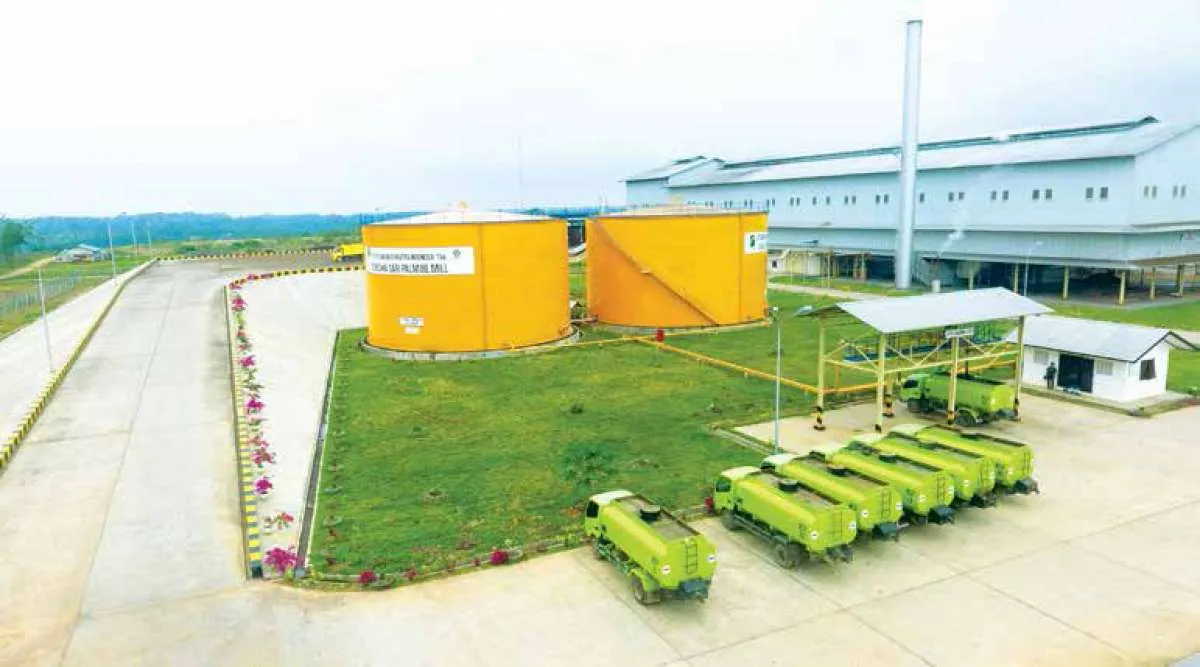 Laba Bersih Lonsum (LSIP) Naik Tipis pada Kuartal I