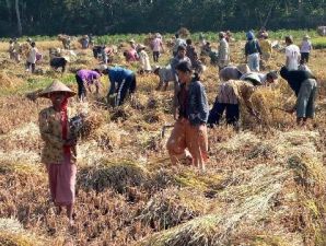 Bappenas usul adanya spesifikasi daerah