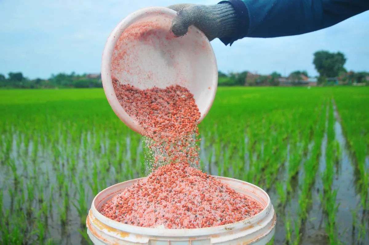 Tumbuh 30%, Pupuk Indonesia Salurkan 1,7 Juta Ton Pupuk Bersubsidi di Kuartal I-2025