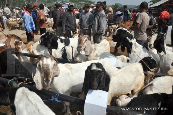 Potong hewan di kampung Jakarta haram mulai 2015