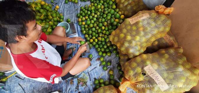 Bisnis Elevator Terangkat Segmen Rumah Pribadi