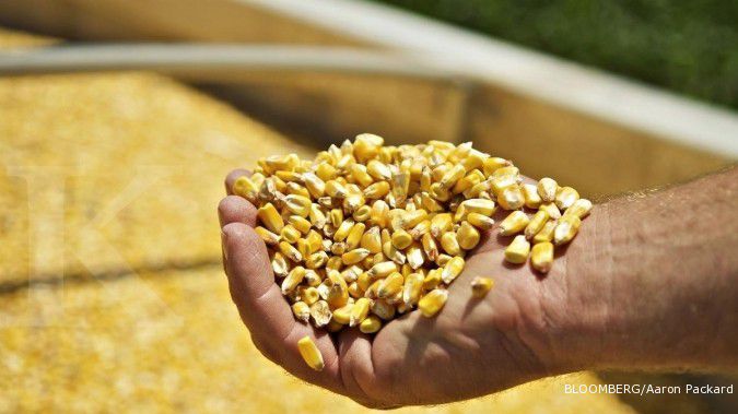 KPPU selidiki hak monopoli impor jagung Bulog