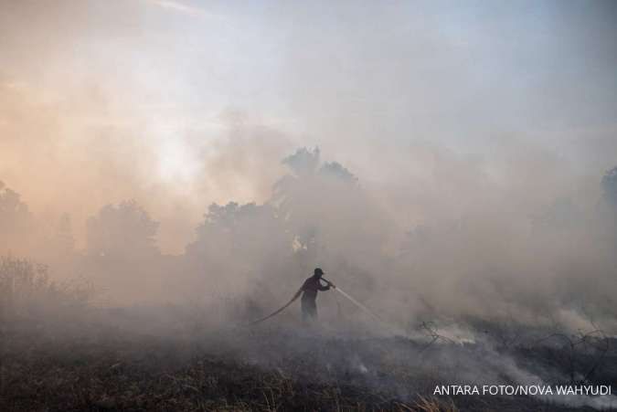 Kebakaran Hutan dan Lahan (Karhutla) di Sumatera Selatan Masih Terus Meluas