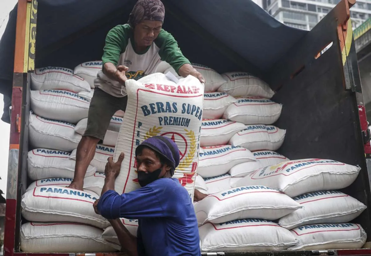 Harga Beras Diperkirakan Mulai Turun September, Ini Penyebabnya