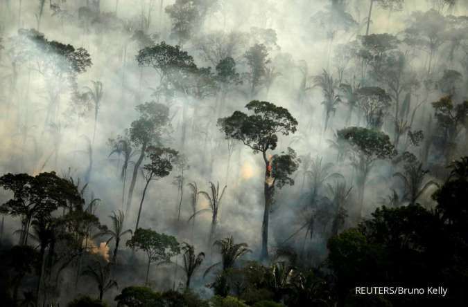 Setiap Menit Hutan yang Hilang Seluas 10 Lapangan Bola: Brasil Tertinggi, Indonesia?
