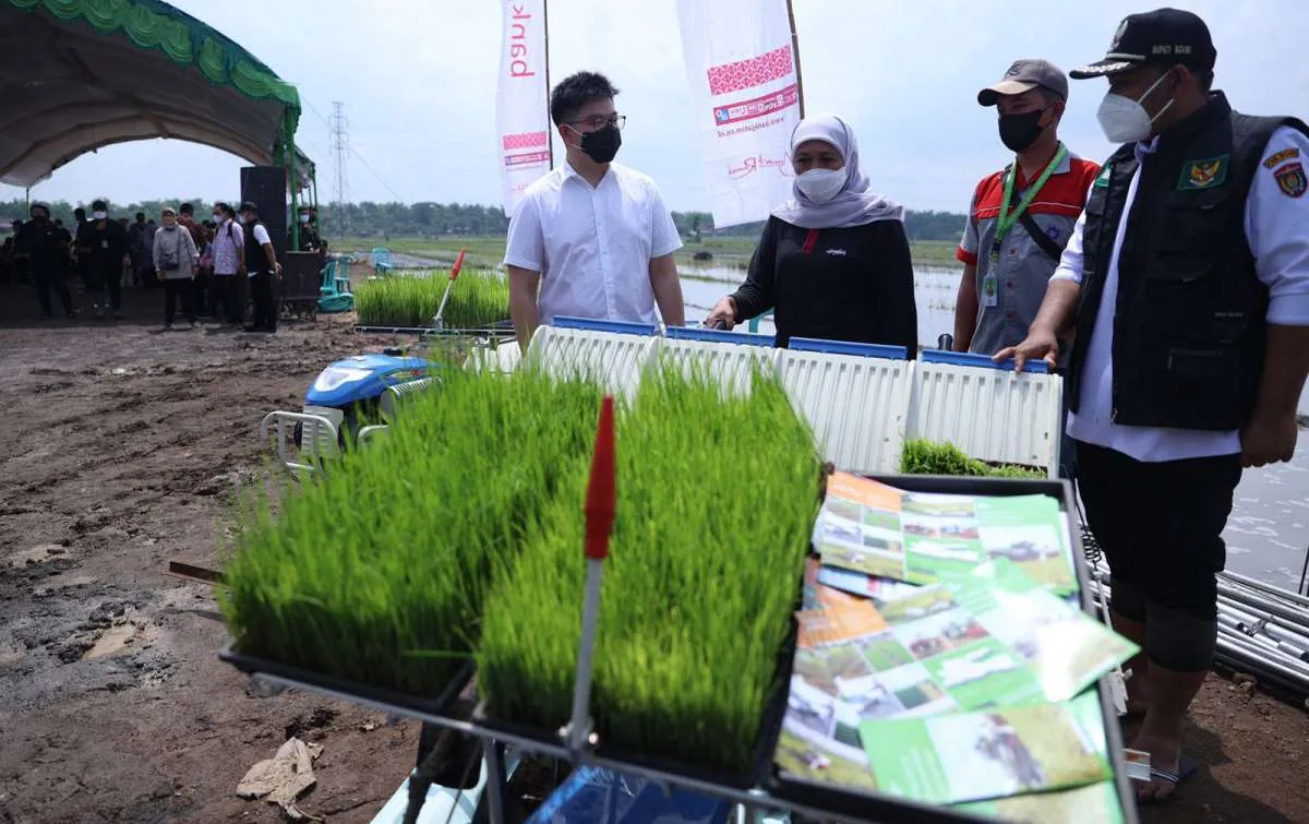 Maxxi Tani Teknologi Menargetkan Bisa Menggaet 100.000 Petani di 2022