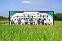 Food Station Lakukan Panen Bersama di Kediri untuk Jaga Pasokan Beras DKI Jakarta