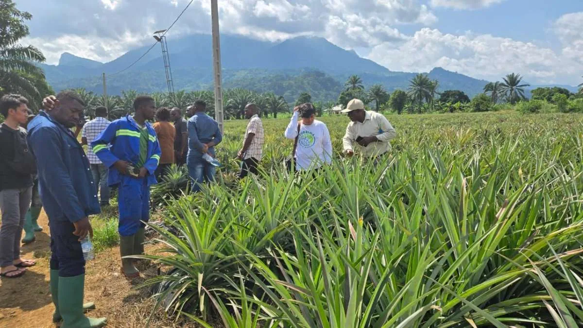 Turrima Agro Menjajaki Pengembangan Pabrik Pupuk Organik di Kamerun