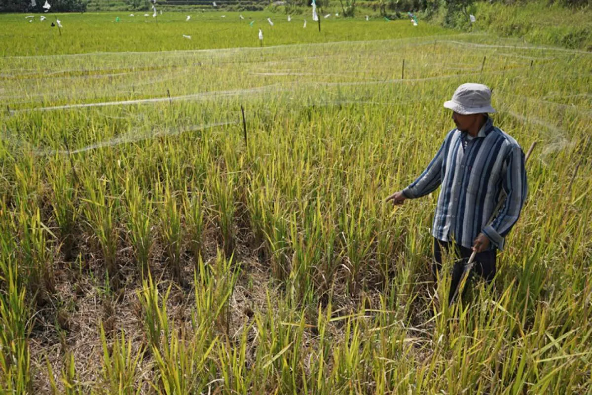Prakiraan Cuaca Jawa Tengah Hari Ini Masih Kering Kerontang, Tidak Ada Tanda Hujan