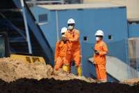 Strategi PLN Tekan Emisi Karbon Tanpa Korbankan Finansial Perusahaan