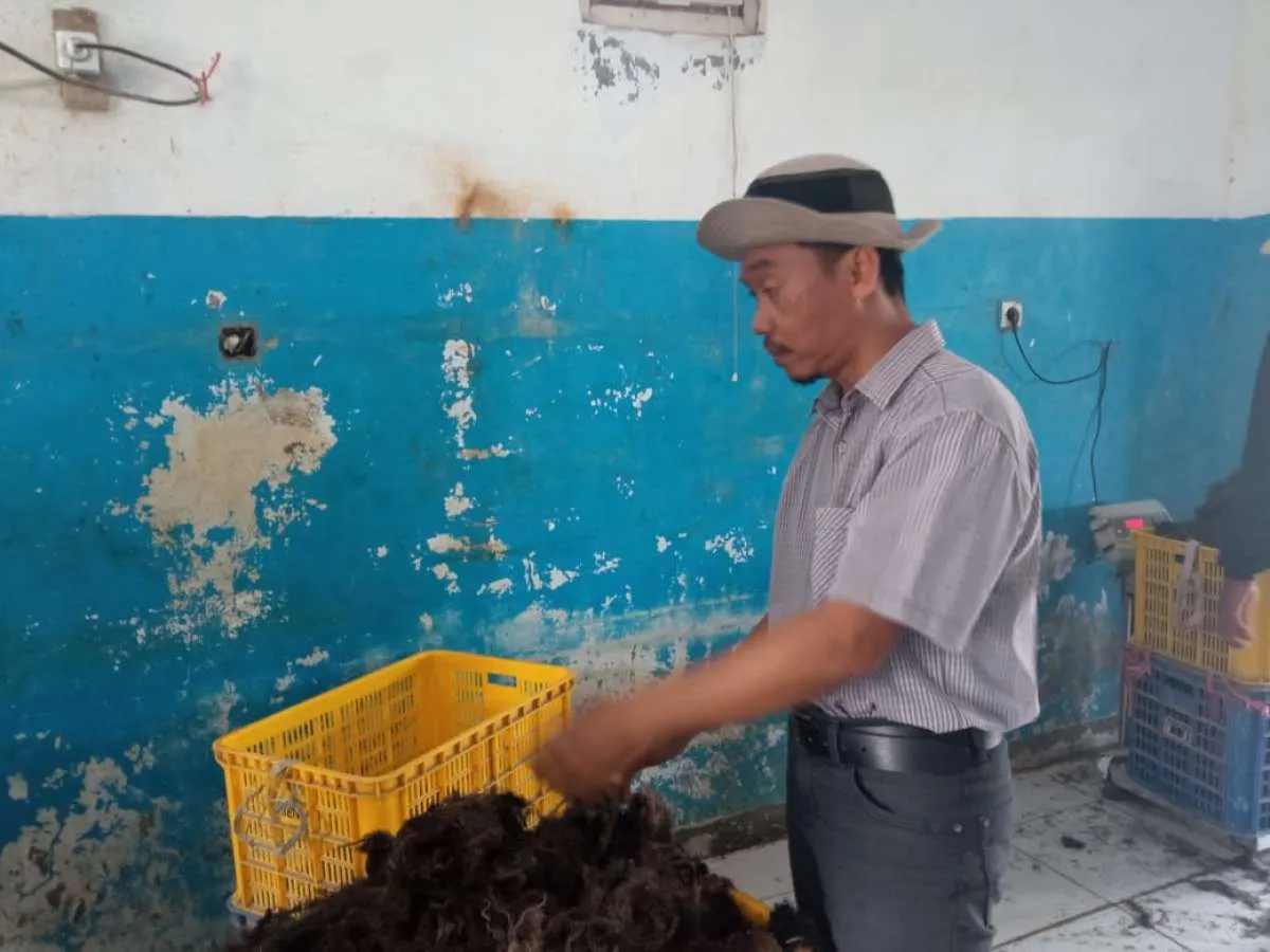 Berdayakan rumput laut, koperasi binaan Pertamina raih omzet Rp 6 miliar