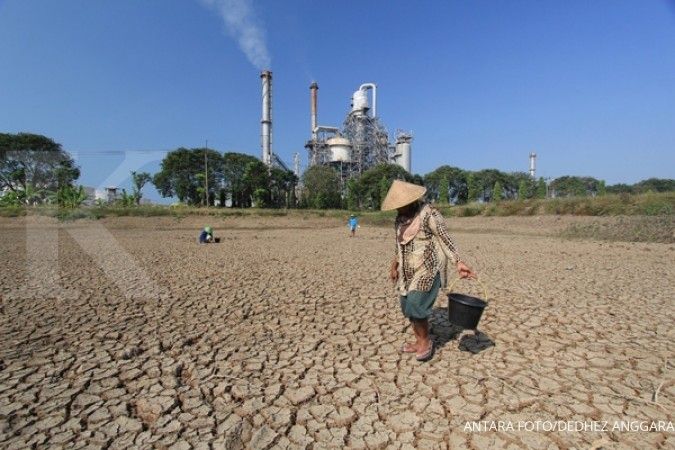 Ribuan sawah di Kempar Riau alami kekeringan