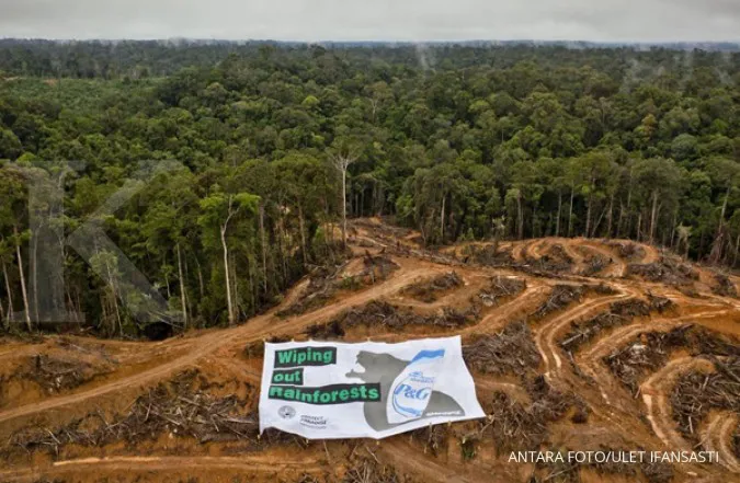 Sumatra rainforests in danger 