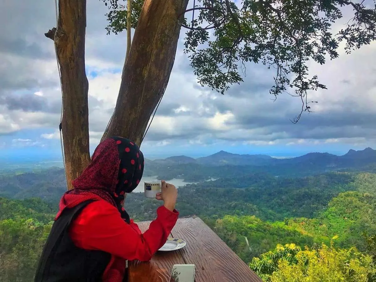Rekomendasi tempat wisata kekinian di Kulon Progo, ada Bukit Wisata Pulepayung