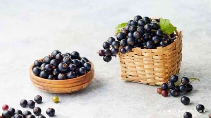 Meningkatkan Fungsi Otak! 8 Manfaat Anggur Hitam yang Kaya Antioksidan 