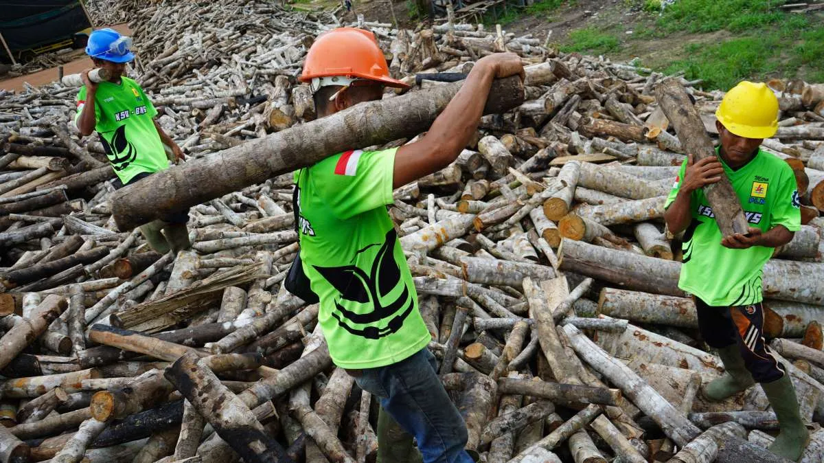 Strategi Berbeda: OASA Siap Masuk Konsorsium WtE, TOBA Masih Menahan Diri