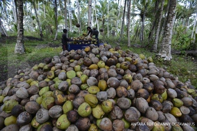Pemerintah diminta genjot penanaman pohon kelapa