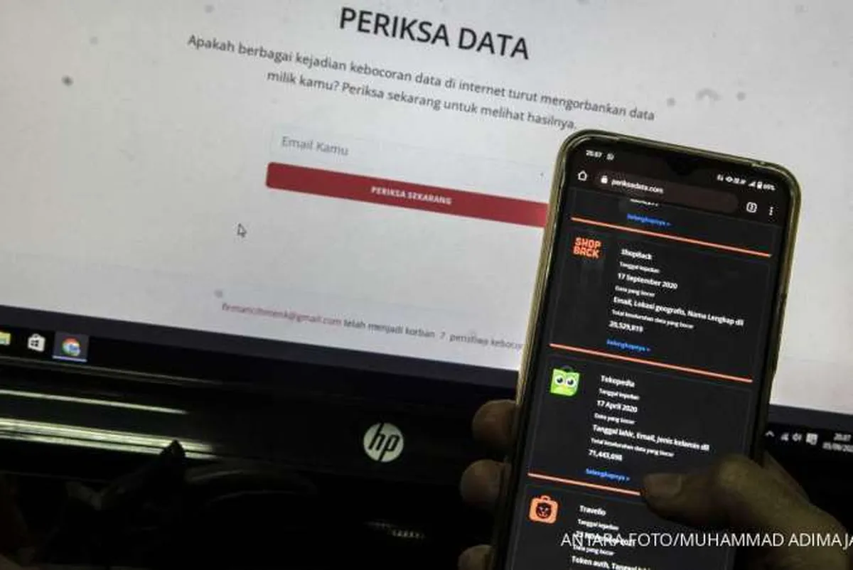 Kemenkominfo: Pembocor Data Pribadi Masuk Unsur Pidana