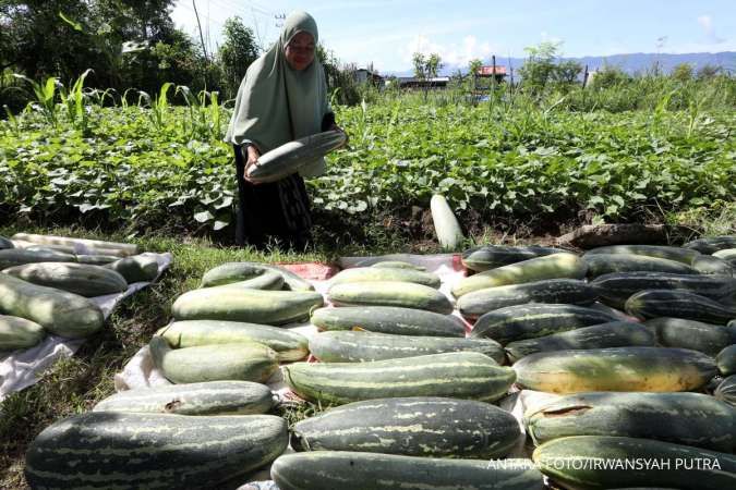 Warga Aceh Wajib Cek Prediksi Cuaca Selasa (3/3): Hujan Ringan di 3 Wilayah Ini