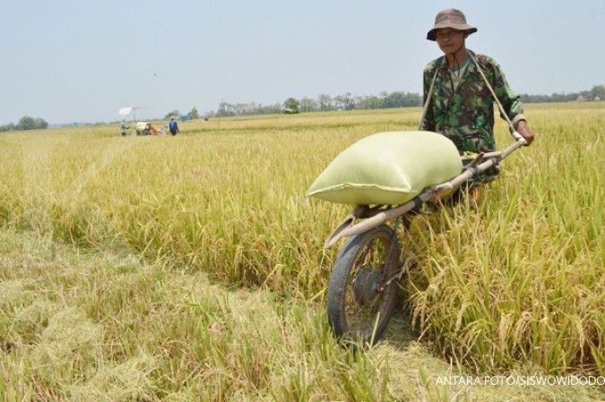 Jokowi: Kesiapan Bulog serap gabah petani kurang