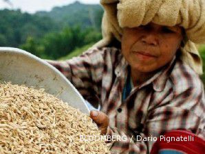 Impor beras Indonesia makin kerek harga beras ke level tertinggi sejak 2008