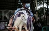 Daftar Hari Besar 2 Maret: Ada Hari Tenis Sedunia hingga Misi Penyelamatan Kucing