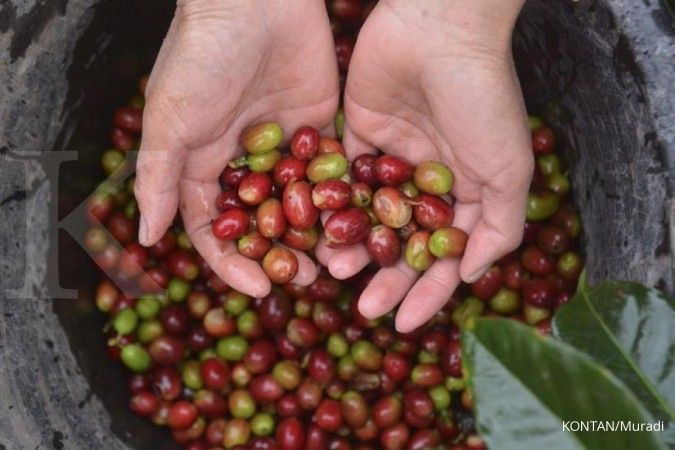 Koperasi kopi raih transaksi miliaran di Korsel