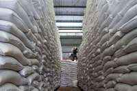 Pemerintah Klaim Stok Beras Aman, El Nino Godzilla Intai Produksi