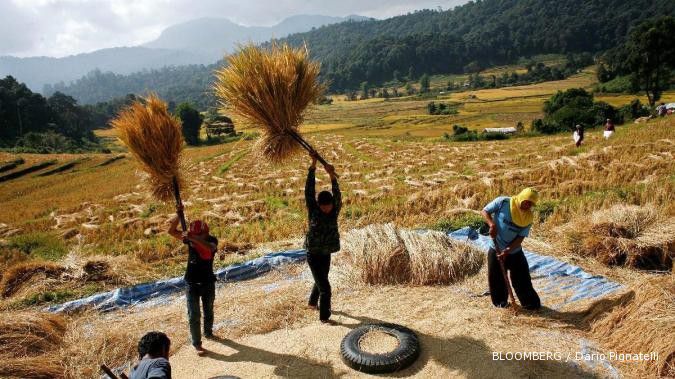 Indonesia siap-siap impor beras dari Vietnam
