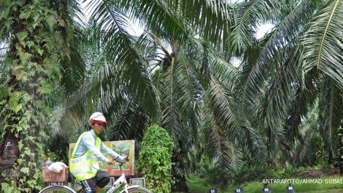 Perusahaan Malaysia beli lahan sawit di Kalimantan