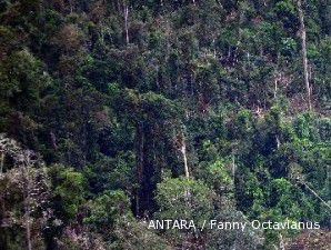 Pemerintah buat aturan Kesatuan Pengelolaan Hutan