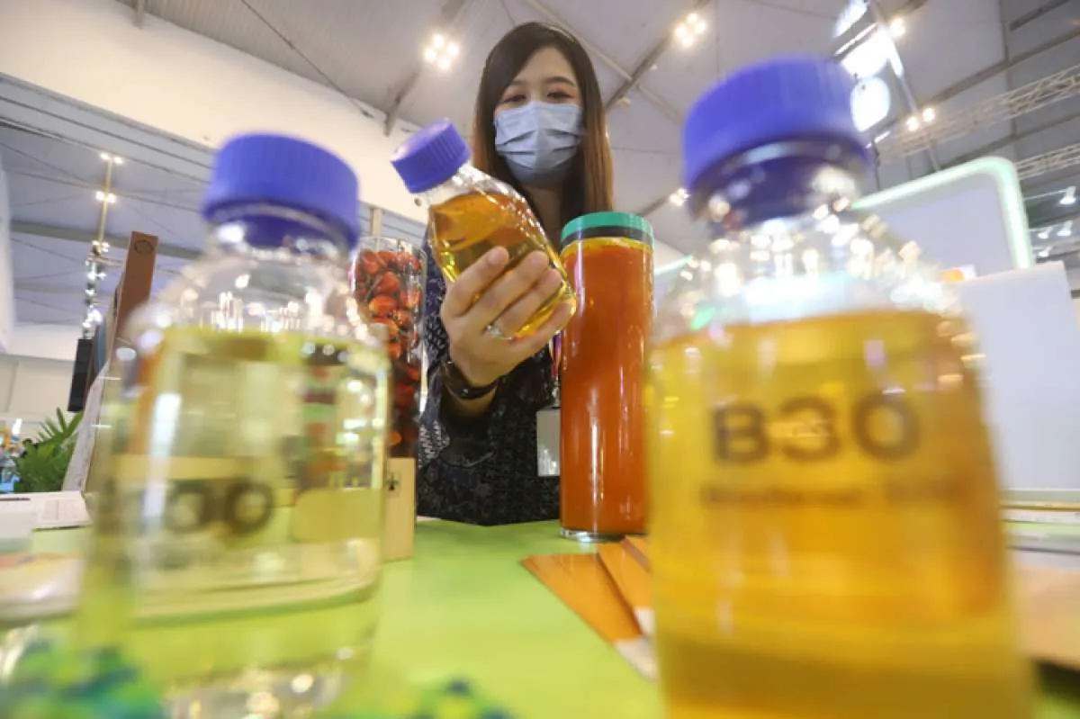 BPDPKS: Realisasi Subsidi B35 hingga September 2024 Capai Rp 17 Triliun