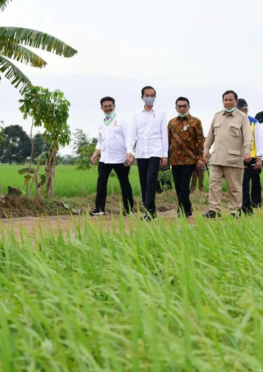 Food estate mulai digarap Oktober seluas 30.000 ha dari total 1,4 juta ha