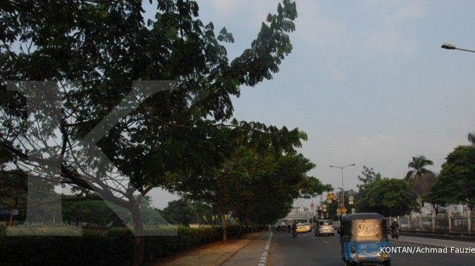 Musim hujan, pohon-pohon di Jakarta akan dipangkas