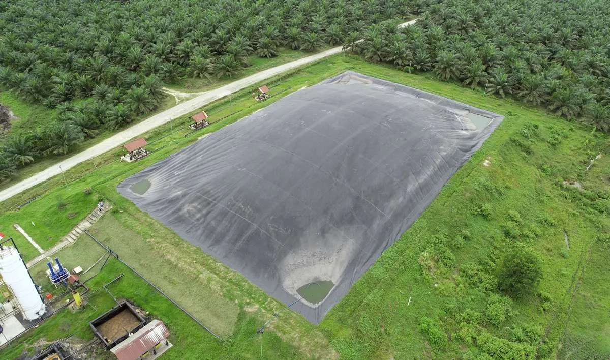 Pembentukan Sub Holding Palm Co Bisa Menjadi Perpanjangan Tangan Pemerintah