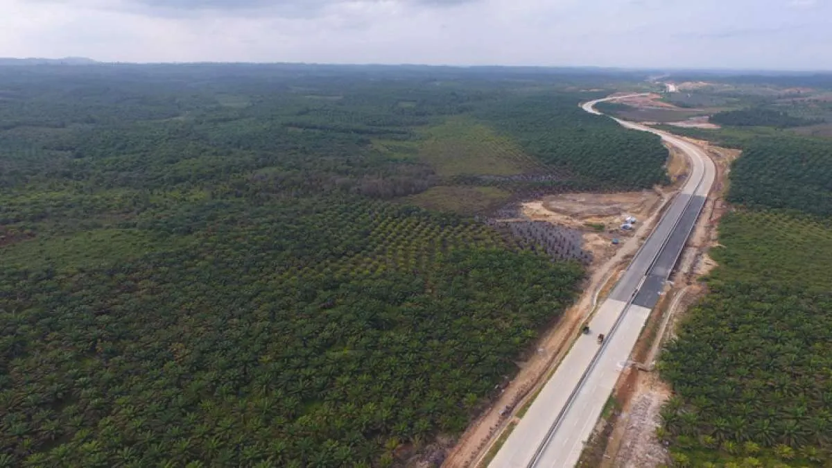 Kalimantan Timur jadi ibu kota, lokasinya bukan di Hutan Bukit Soeharto