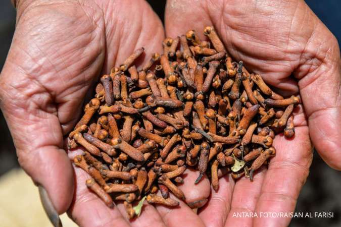FDA Temukan Kontaminasi Radioaktif Cesium-137 pada Cengkeh Impor dari Indonesia