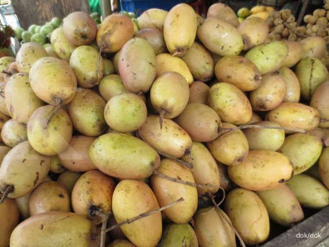 Tidak Banyak Diketahui, Inilah Manfaat Buah Binjai untuk Kesehatan Tubuh