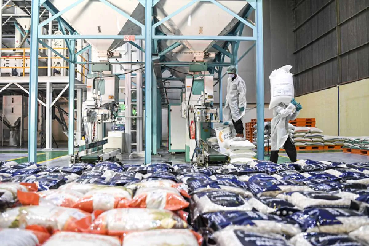 Beras Bulog Mulai Masuk ke Ritel Modern, Dirut Bulog: Harga Jual Sesuai HET
