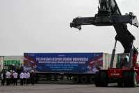  Ekspor Udang ke Amerika Kembali Mengalir Deras