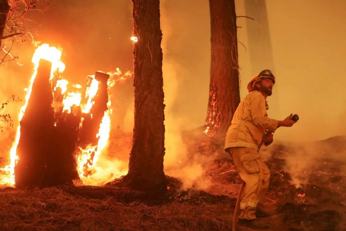 Elon Musk Turun Tangan Bantu Atasi Dampak Kebakaran Hutan di Los Angeles
