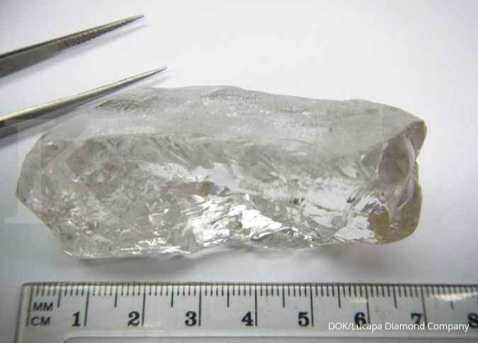Berlian termahal dunia dijual seharga US$ 63 juta