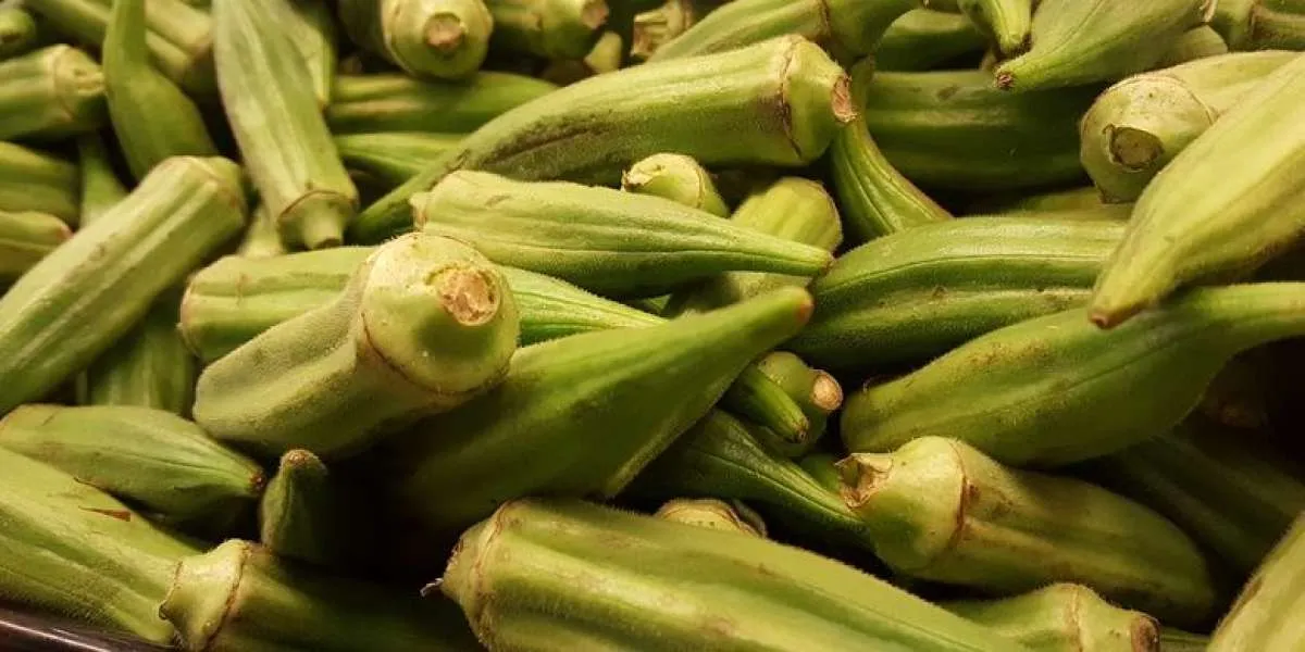 Masih Asing di Telinga, Ini Manfaat Okra untuk Tubuh 